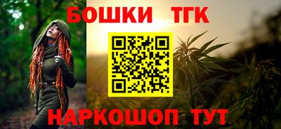 МДПВ Дубна