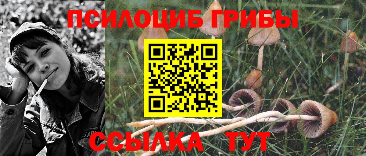 Нарткала  Псилоцибиновые грибы Cubensis  Вход с VPN  Галлюциногенные грибы ЛСД 