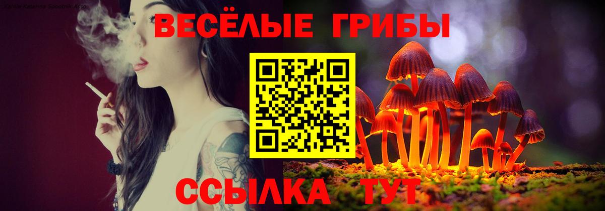 Галлюциногенные грибы мицелий Нарткала